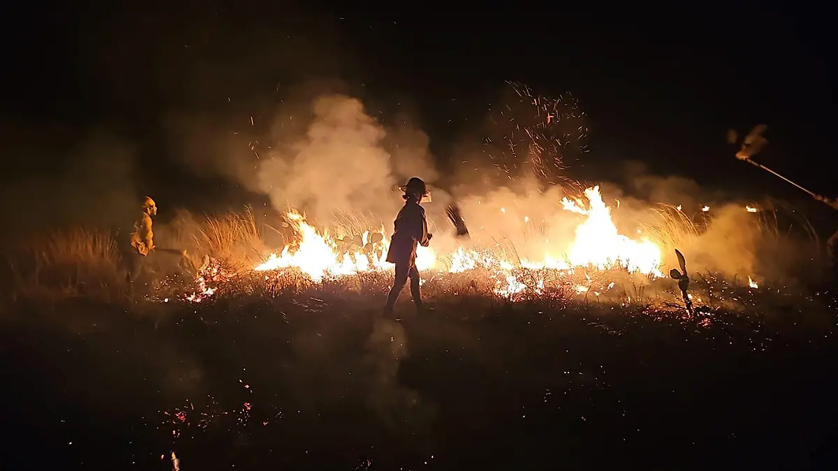 Incendio forestal